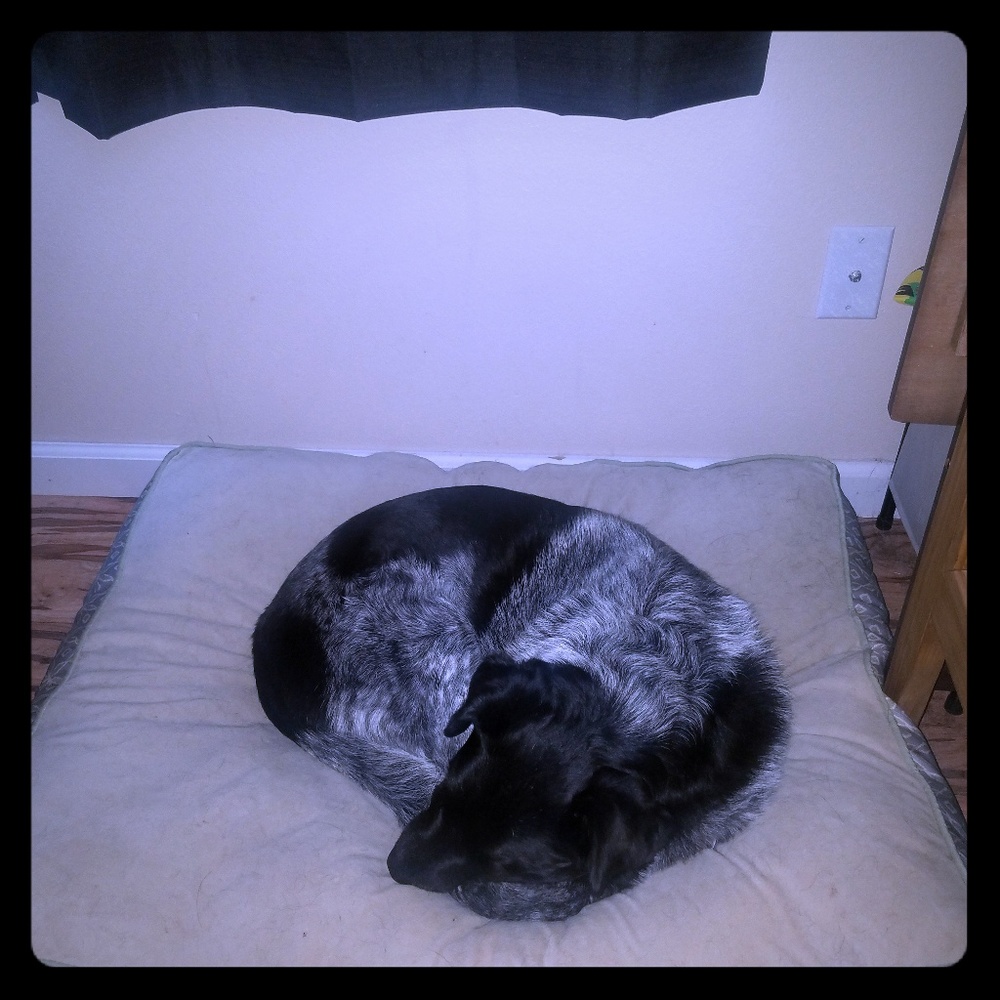 Meet your Posher, Cam